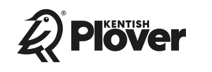 Kentish Plover